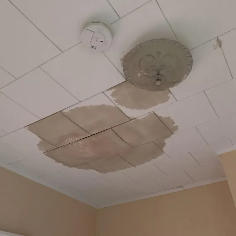 Ceiling Water Damage Repair in Hiawatha, KS