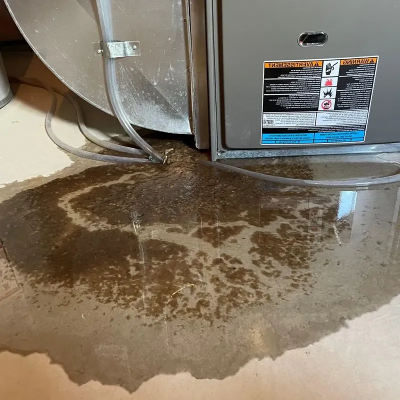 Pipe Burst and Leak Restoration in Hiawatha, KS