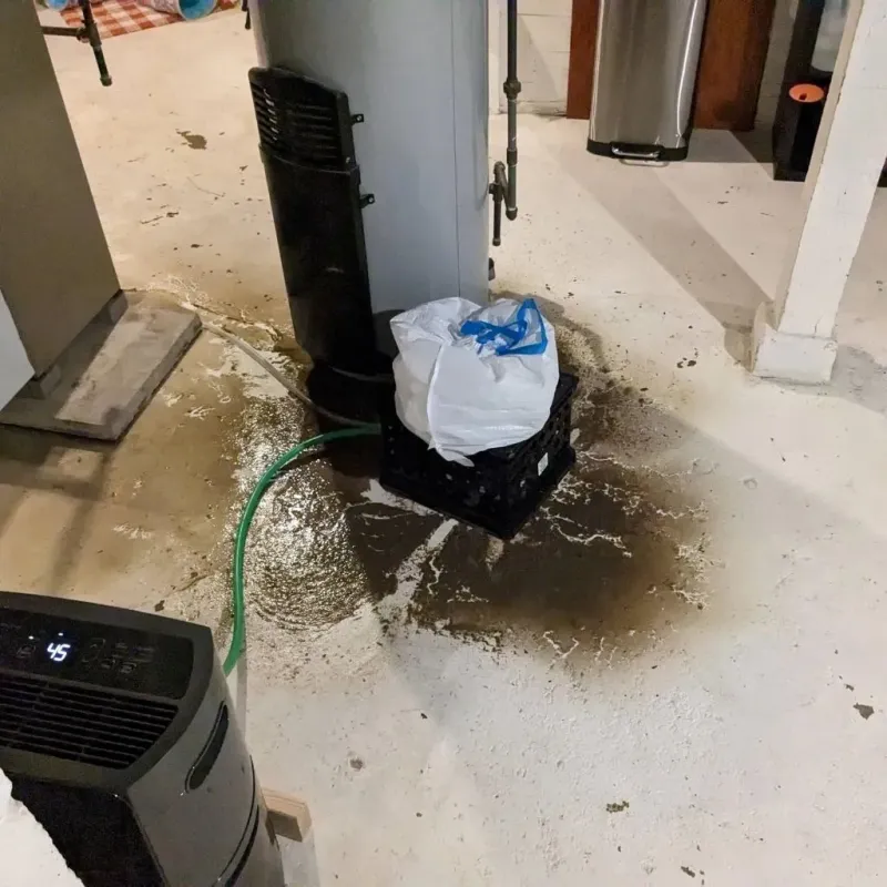 Sewage Backup Cleanup Service in Hiawatha, KS